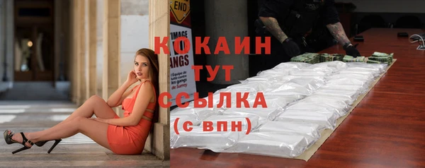 таблы Снежногорск