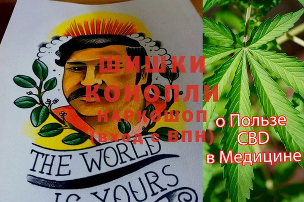 прущий лед Бронницы