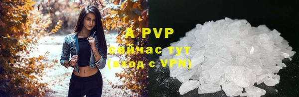 Альфа ПВП Бородино