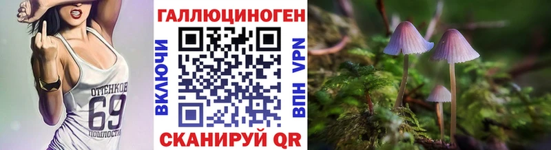 Псилоцибиновые грибы Psilocybine cubensis  Медногорск 